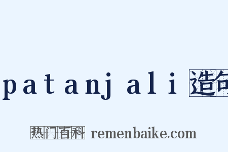 patanjali造句是什么意思的图片